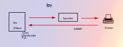 lpy